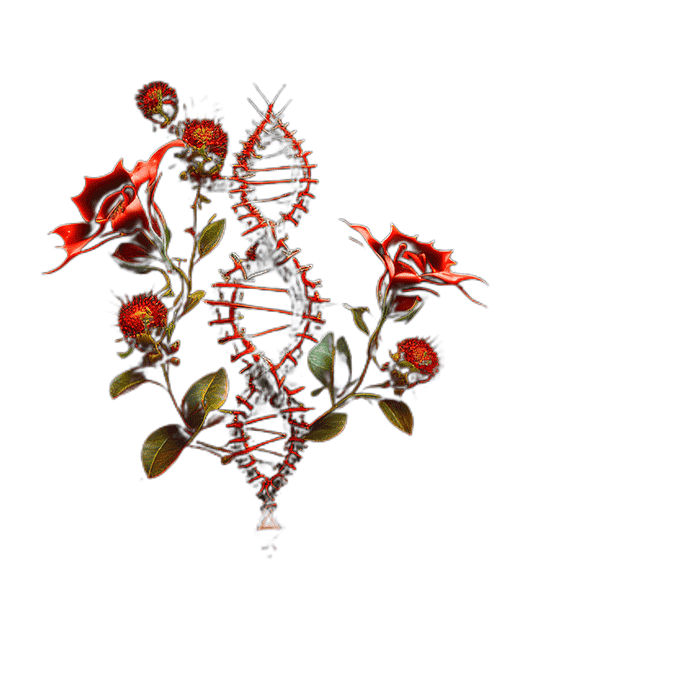 healing∫Seagrass